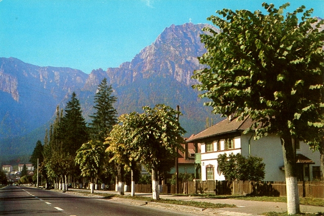 1439 - Busteni